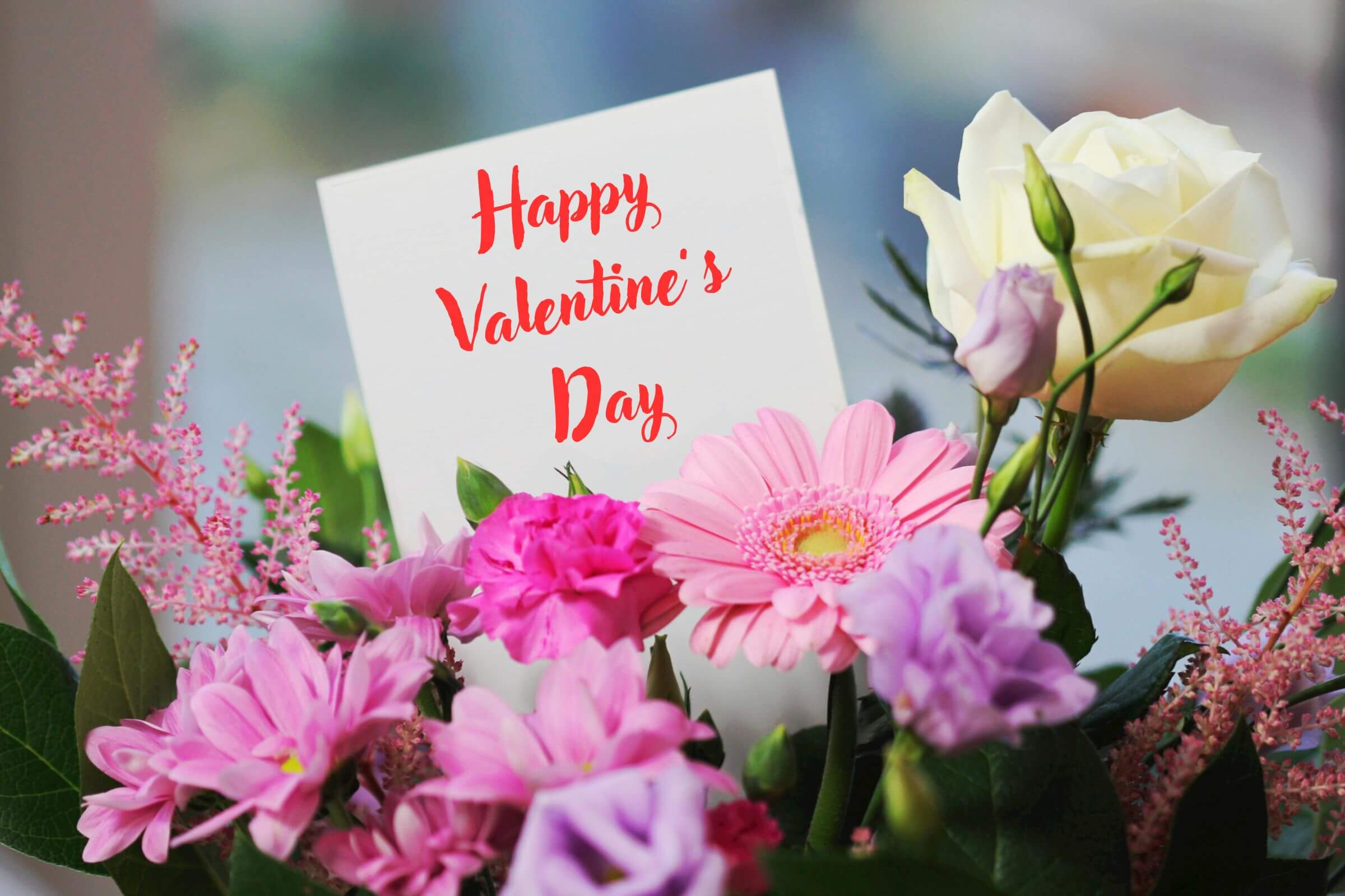 Valentine's Day Celebration